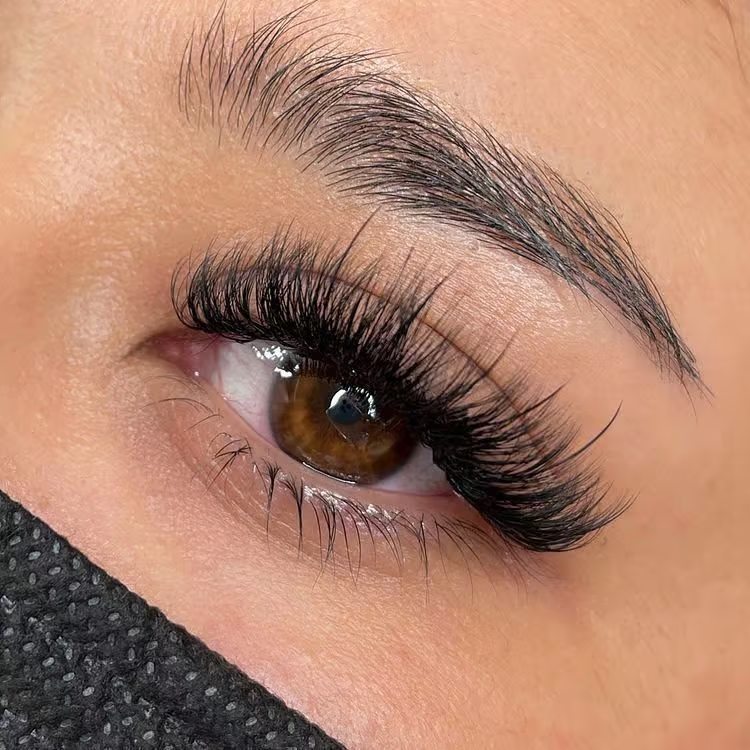 Hybrid Lashes passo